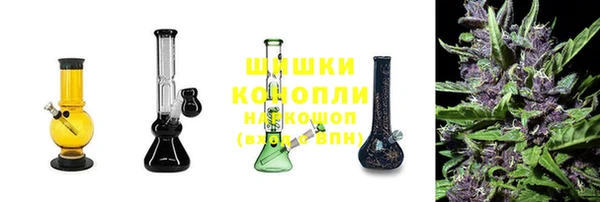 крисы Елабуга