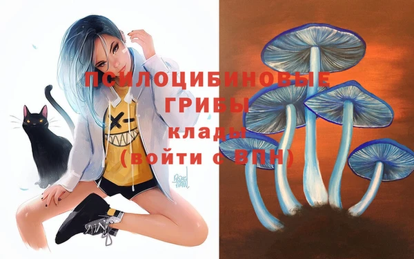 крисы Елабуга