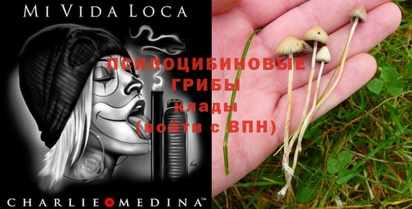 кокаин премиум Ельня