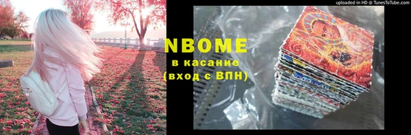 крисы Елабуга