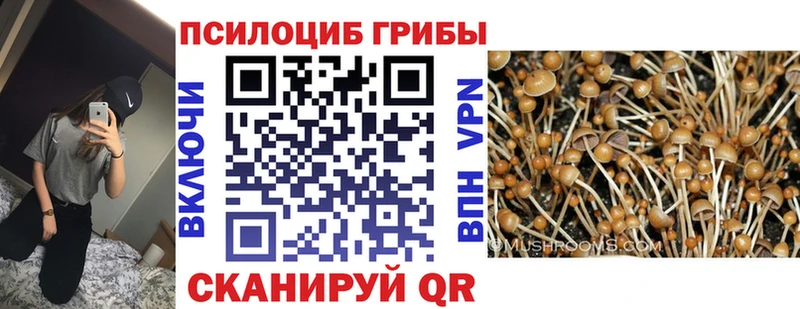 Псилоцибиновые грибы MAGIC MUSHROOMS  Новочебоксарск 